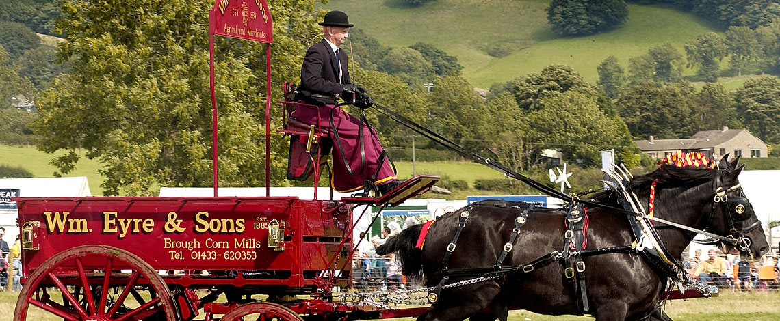 Wm-Eyre-and-Sons-Shire-Horse-turnout